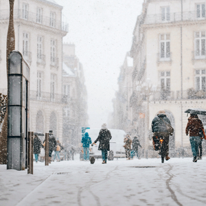 아주 조용한 위로