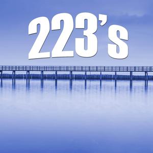 223's (Instrumental)