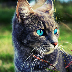 Battle five slag (Original Mix)