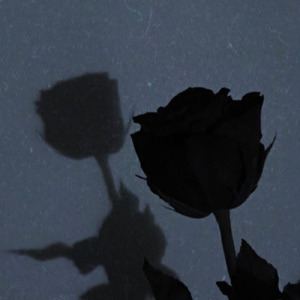 心はここに無い