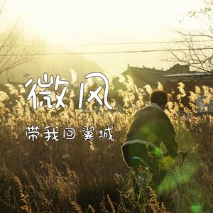 微风带我回翼城