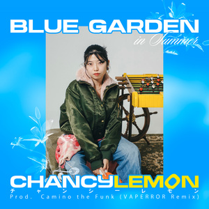 Blue Garden in Summer (VAPERROR Remix)
