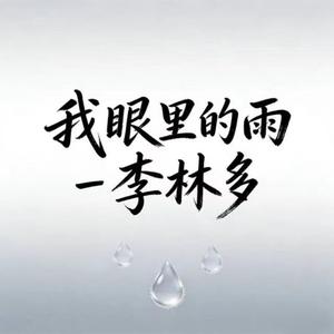我眼里的雨 (DJ沈念版)