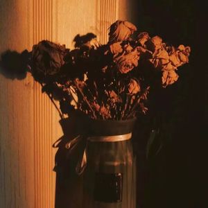 茫茫人海中我们曾相遇过