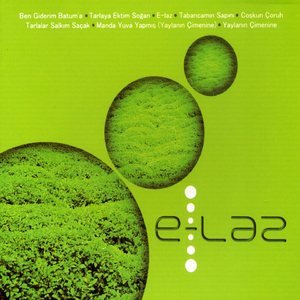 Tarlalar Salkım Saçak