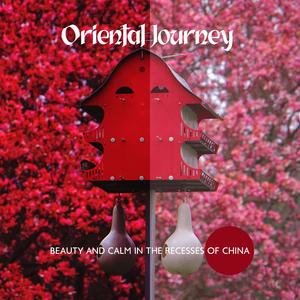 Oriental Journey