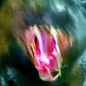 Piece (feat. Eyeam & CJ4L)