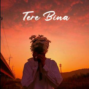 Tere Bina (feat. Abhinav thakur)