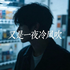 又是一夜冷风吹(氛围版)
