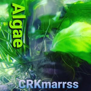 Algae
