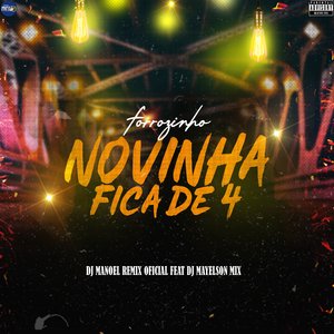 Forrozinho Novinha Fica de 4 (feat. Dj Mayelson Mix)