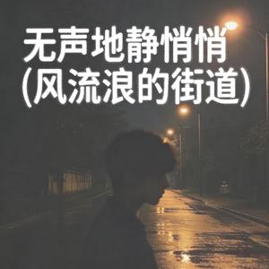 无声地静悄悄 (风流浪的街道)