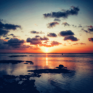 Отведи стоп