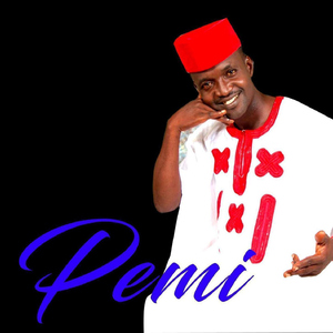 Pemi