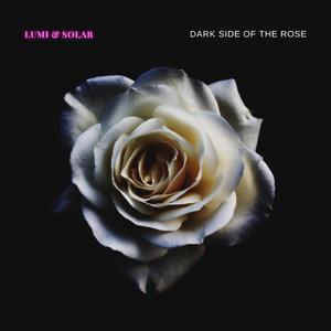 Dark side of the rose