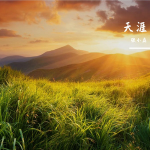 鞋带