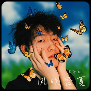 风吹盛夏
