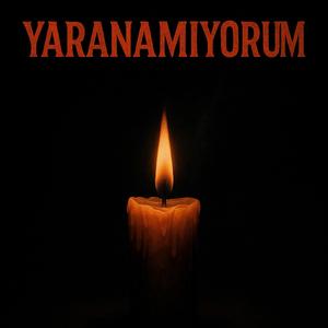 Yaranamıyorum