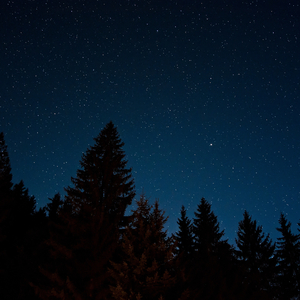 蝉听起来很平静