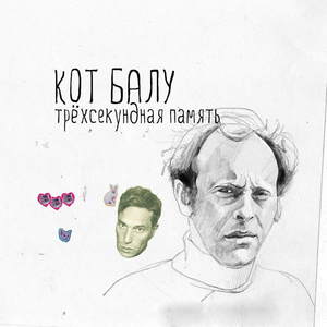 Письма к стене