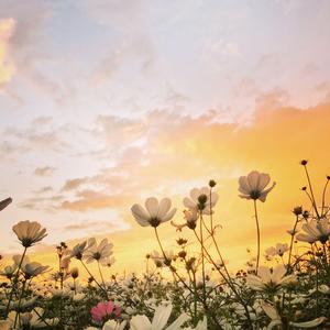 ទឹកប្រាក់បីលាន