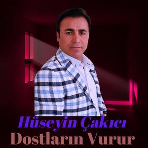 Dostların Vurur