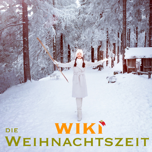 Die Weihnachtszeit