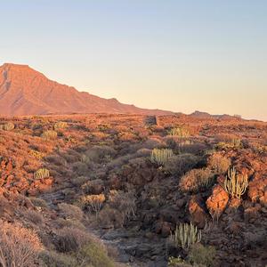 fuk tha 101, make your cash, do that btch