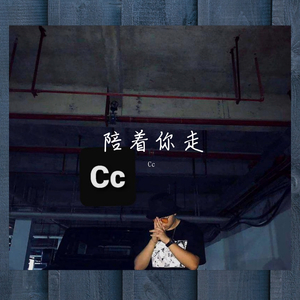 陪着你走