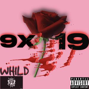 9x19