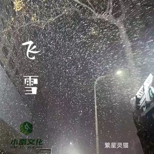 飞雪