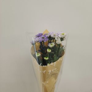 紡唄 -つむぎうた-（cover:镜音リンレン）