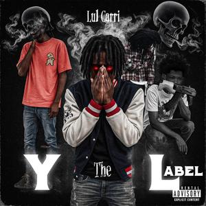 We Havin (feat. Wyaspazz, Z3, 1guapxhild & LulCurt)