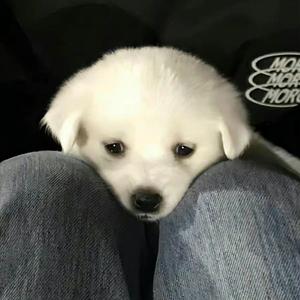 遇上你之前的我