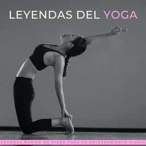 Entrenamientos Ininterrumpidos