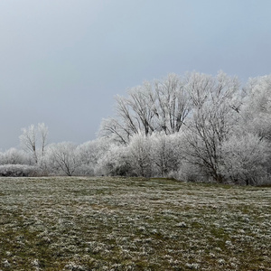 New Perfume (Winter Travel Ambient Mix)