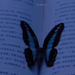 U.（Prod. by 百川）