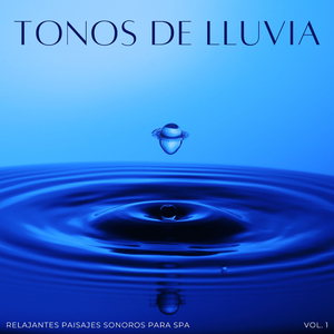 Sobre Las Cubiertas Empapadas