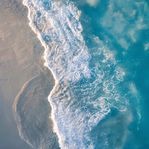 梦幻森林之音.wav