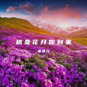 格桑花开你到来