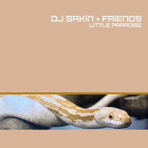 Little Paradise (DJ Sakin's Mix)