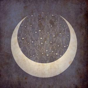 你在月亮里藏着