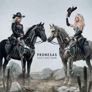 PROMESAS (feat. Nayla Downs)
