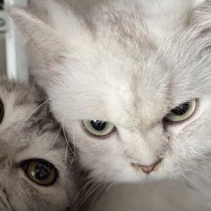 Dmitriy Rs-dont stop （sn1b4 remix）