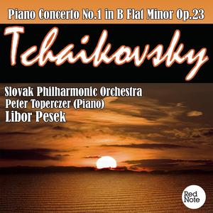 Piano Concerto No.1 in B Flat Minor, Op.23: I. Allegro non troppo e molto meastoso - Allegro con spirito