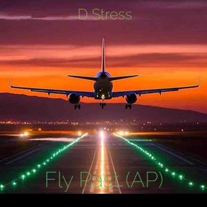 Fly Past (AP)