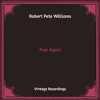 Robert Pete Williams - Hobo Worried Blues