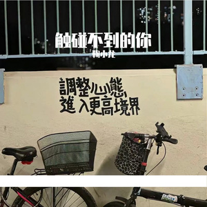 孙燕姿-我怀念的（鞠小龙 remix）