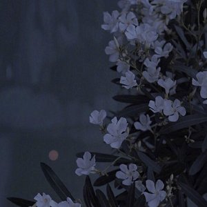 大眠