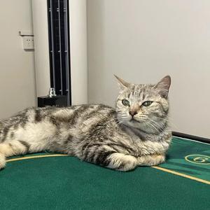 wrui (prodByDolBeatz)